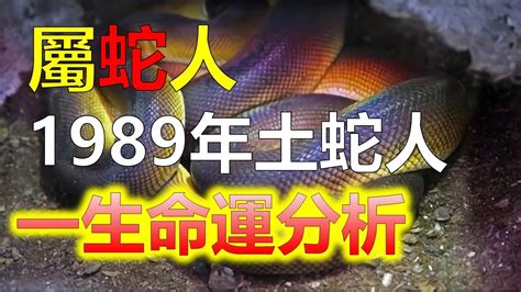 1989蛇|生肖蛇: 性格，愛情，2024運勢，生肖1989，2001，2013